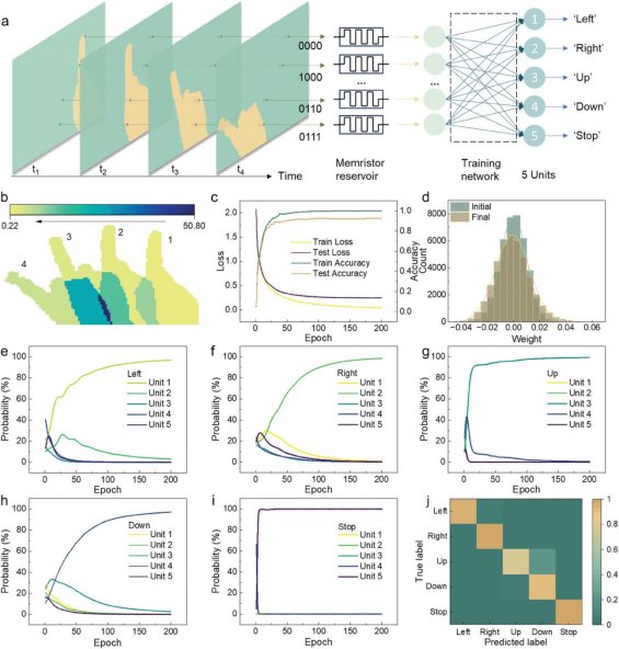 adfm202423548-fig-0006-m