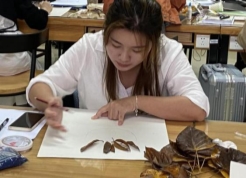 46ee781d7cf53574526180e1d029444