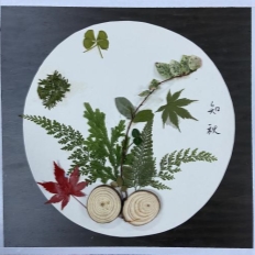 a43aa87aa5bb91745b81e079ab2e9d2